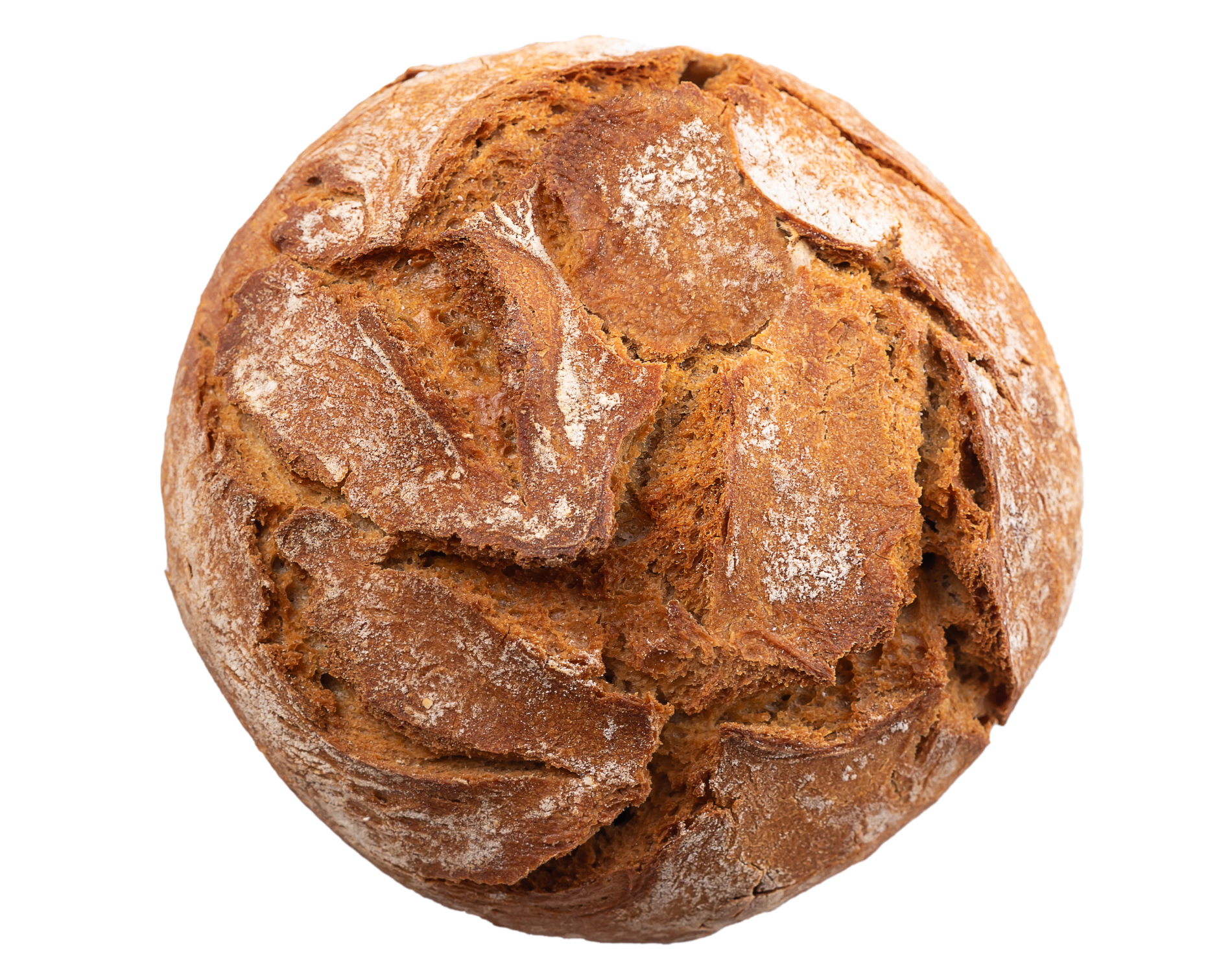 Brotwelt