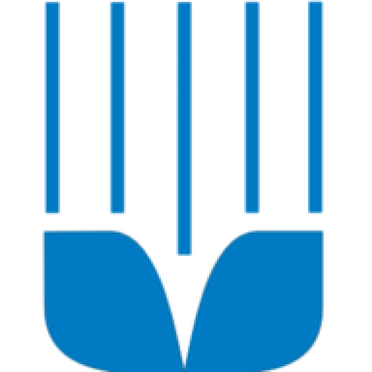 Dinkelflakes, bioland